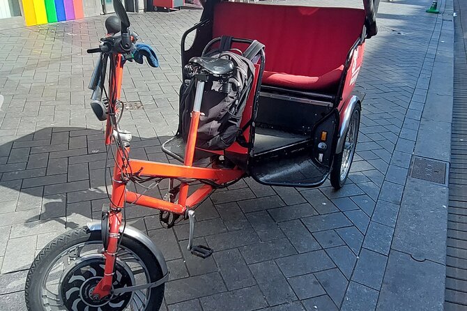 1 Hour Private Amsterdam Rickshaw Tour - Inclusions