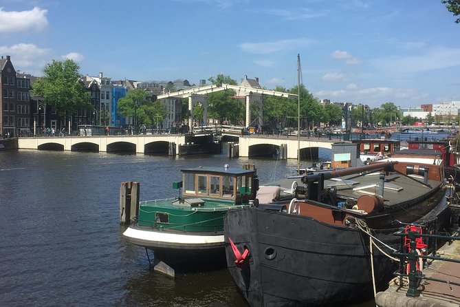 Amsterdam in a Nutshell 4 Hour Private Car Tour and Amsterdam Born Private Guide - Inclusions and Services