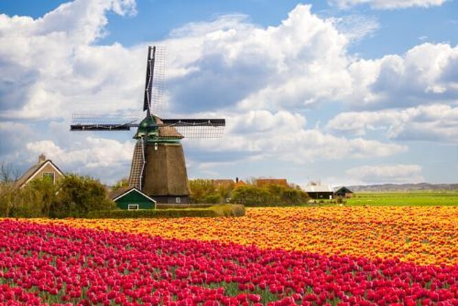 Day Trip From Amsterdam to Zaanse Schans Windmills and Volendam
