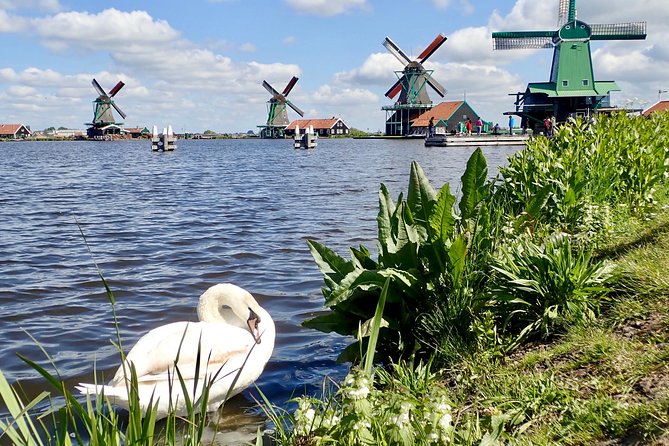 Highlights of Holland Private Guided Tour From Amsterdam