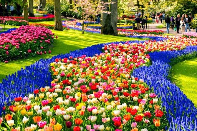 Keukenhof Skip-The-Line Tickets Countryside & Farm, Private Tour - Pricing and Booking Details