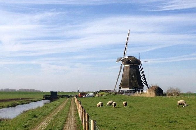 Private Guided Full-Day Customizable Tour of Holland From Amsterdam - Tour Benefits and Reasons for Choosing