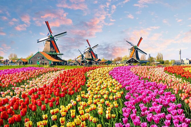 Private Keukenhof Tulip Fields Tour From Amsterdam - Booking and Cancellation Policies