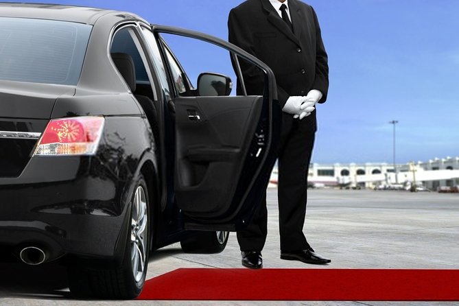 Private Transfer From the Hague City to Schiphol Airport - Service Details