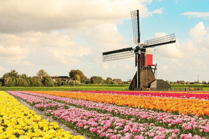 Tulip Experience and Keukenhof Flower Gardens Tour From Amsterdam