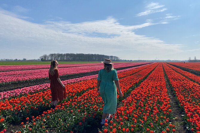 Tulip Field With a Dutch Windmill Tour From Amsterdam - Logistics and Experience Details