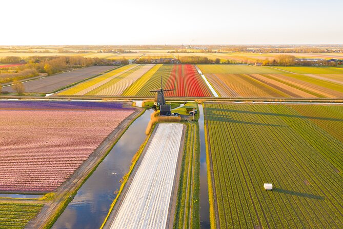 Guided Bike Tour Along the Dutch Tulip Fields in Noord Holland - Tour Expectations