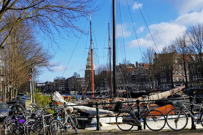 Guided Tours in Amsterdam and the Netherlands. - Traveler Reviews and Feedback