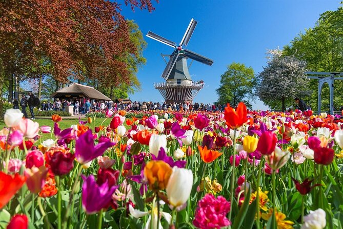 Keukenhof Entrance and Windmill Cruise From Amsterdam - Booking Policy Details