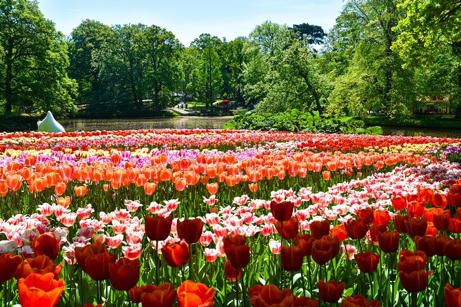 Keukenhof Gardens & Tulip Experience Guided Tour From Amsterdam - Final Words