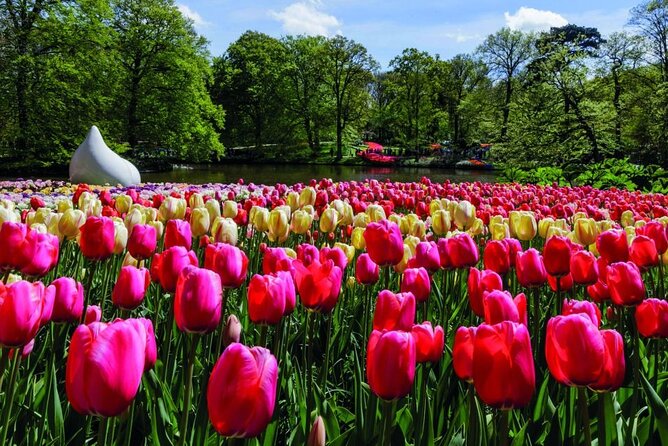 Keukenhof Ticket With Roundtrip Shuttle Bus From Amsterdam - Ferry Access Instructions
