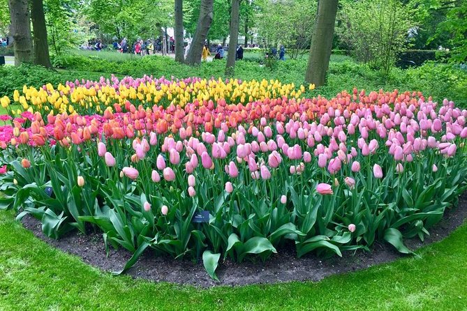 Keukenhof Tulips and Zaanse Schans Windmills Private Day Tour - Customer Reviews and Feedback