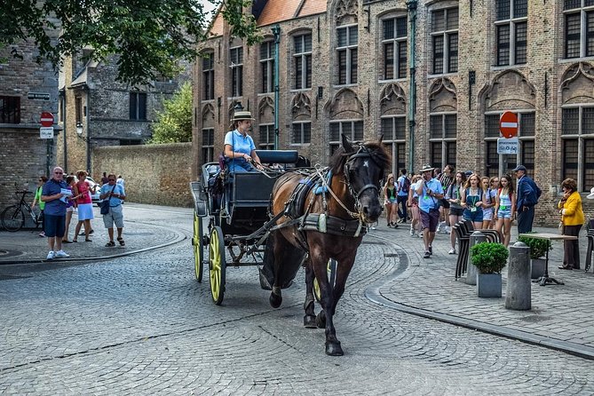 Private Full Day Sightseeing Tour to Bruges From Amsterdam - Booking Information