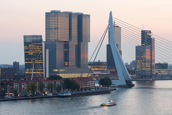 Rotterdam, Delft and the Hague Guided Tour From Amsterdam - Tour Accessibility and Reviews