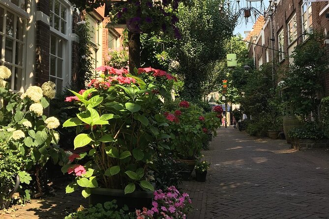 Haarlem Old Town Private Walking Tour - Guide Information