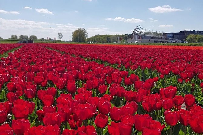 Keukenhof Skip-The-Line Tickets Countryside & Farm, Private Tour - Cancellation Policy