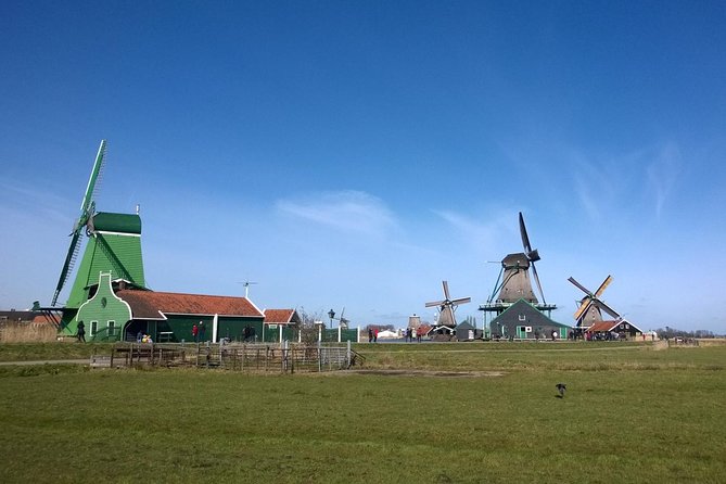 Keukenhof Tulips and Zaanse Schans Windmills Private Day Tour - Tour Booking and Pricing Information