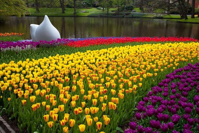Tour to Keukenhof, Tulip Farm and Windmill Cruise From Amsterdam - Customer Support and Assistance