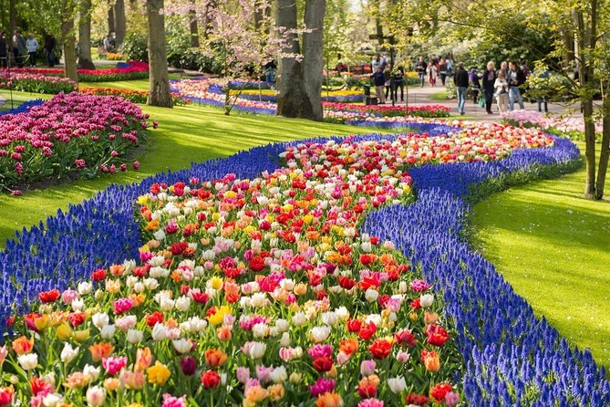 Tulip Experience and Keukenhof Flower Gardens Tour From Amsterdam - Tour Inclusions