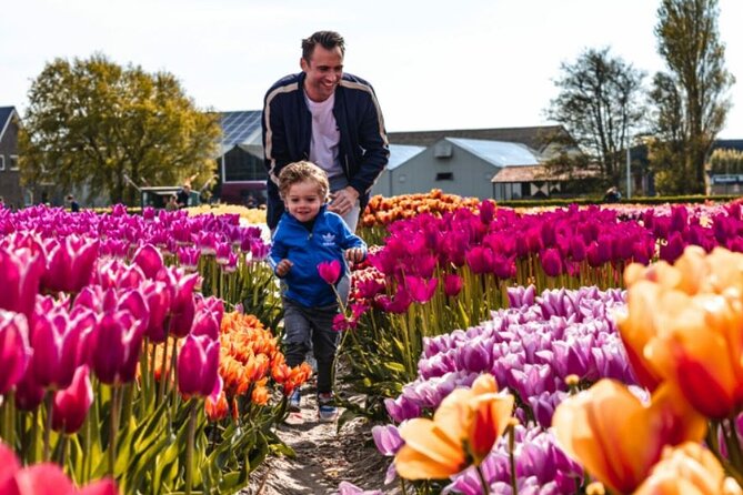 Tulip Mania: Keukenhof , Tulip Farm, and Amsterdam Transfer - Windmills and Landscaped Parks in Keukenhof