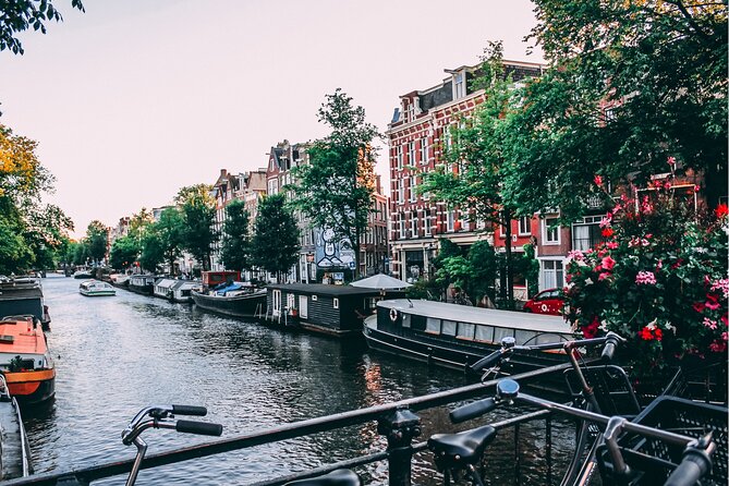 Amsterdam: Walking Tour Canals, Heineken, Rijksmuseum & More! - Guided Tour Experience