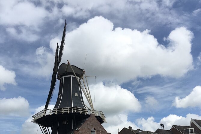 Holland Four City Charm Tour - Private Day Tour - Viator Booking Guidelines