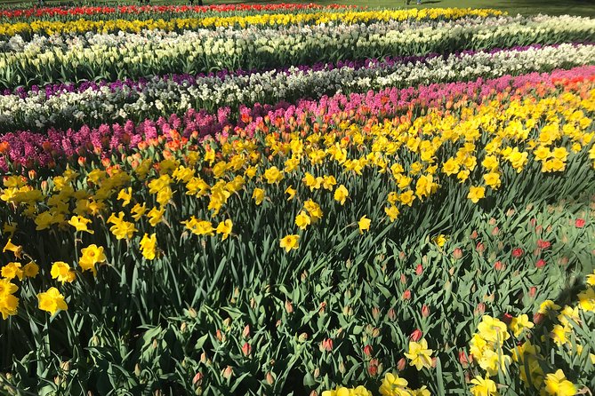 Private Tour to the Keukenhof - Additional Information