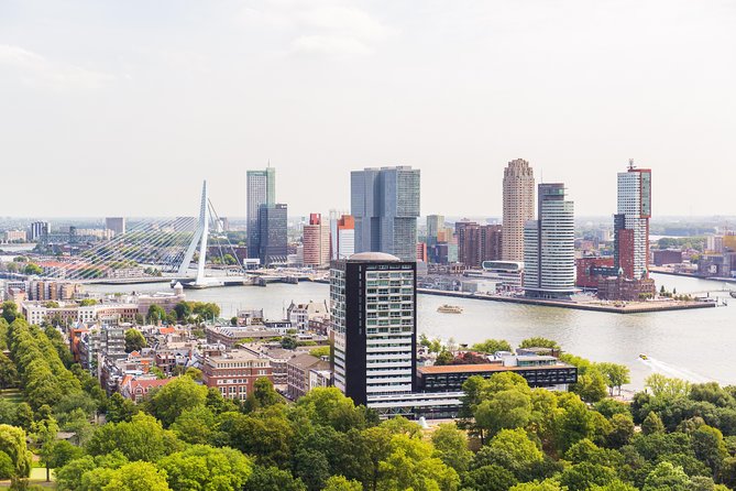 Rotterdam, Delft, the Hague, Madurodam From Amsterdam - Final Words