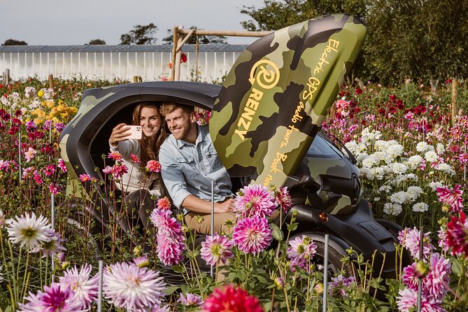 Self-Guided 3-Hour Tour by Electric Car, Flower Bulb Region  - South Holland - Tour Route and Itinerary