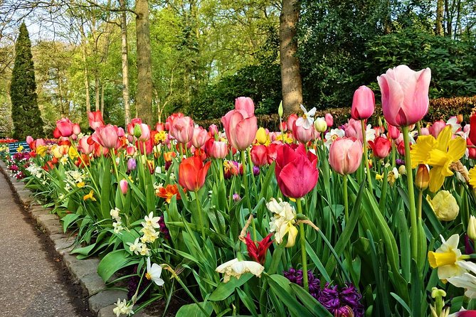 Skip-The-Line Keukenhof Gardens Sighseeing Tour From Amsterdam - Frequently Asked Questions