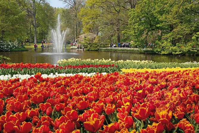 From Amsterdam: Keukenhof Flower Park Ticket and Transfer 2025 - Directions