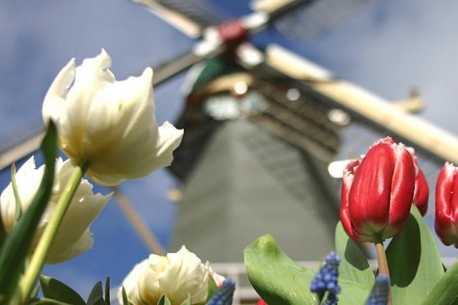 Private Tour to Keukenhof Gardens With Guide - Full Day Tour From Amsterdam - Booking Information