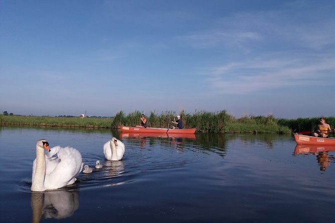 Small-Group Nature-Filled Canoeing Tour From Amsterdam  - North Holland - Meeting and Pickup Information