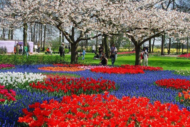 Tour to Keukenhof, Tulip Farm and Windmill Cruise From Amsterdam - Tour Highlights and Challenges