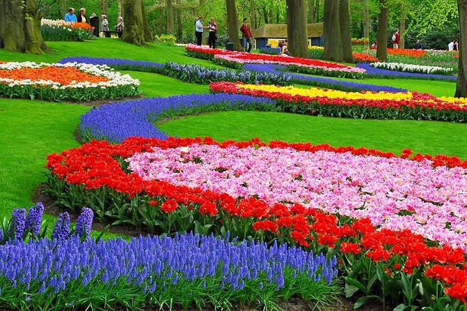 Tulip Experience and Keukenhof Flower Gardens Tour From Amsterdam - Additional Resources
