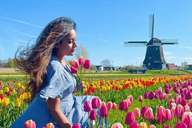 Tulip Field With a Dutch Windmill Tour From Amsterdam