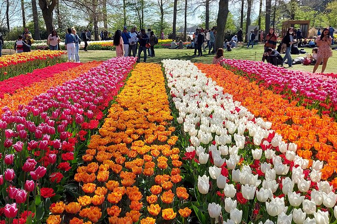 Tulip Mania: Keukenhof , Tulip Farm, and Amsterdam Transfer - Insider Tips for Keukenhof Visitors