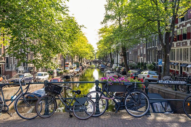 Amsterdam Walking Tour and Cruise With Drinks and Cheese Tasting - Final Words