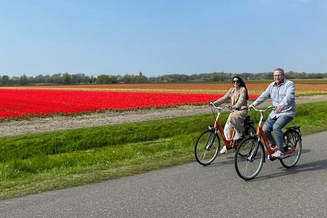 Private Tour to Keukenhof Gardens With Guide - Full Day Tour From Amsterdam - Tour Experience Suggestions