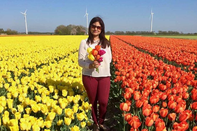 Springtime Private Tour to Keukenhof, Tulip Fields and Windmills - Direction and Itinerary