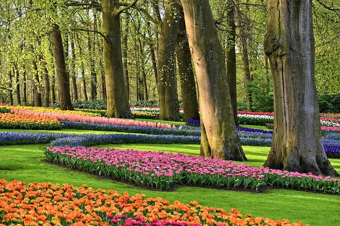 Tulip Experience and Keukenhof Flower Gardens Tour From Amsterdam - Frequently Asked Questions