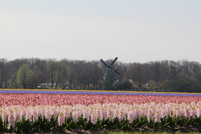 Day Trip To Tulip Gardens Of Keukenhof From Amsterdam: Private & Personalized - Keukenhof Gardens Tour Details