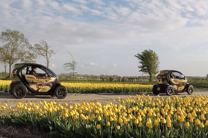Drive It Yourself Electric Tulip and Flower Fields GPS Audio Tour - GPS Navigation and Audio Commentary