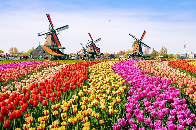 Dutch Countryside and Zaanse Schans Windmills Private Tour