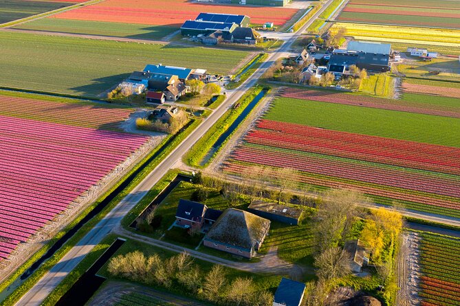 Guided Bike Tour Along the Dutch Tulip Fields in Noord Holland - Just The Basics