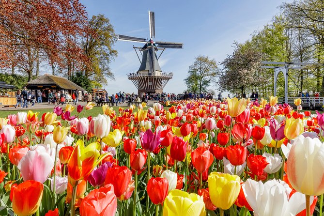 Keukenhof Gardens & Tulip Experience Guided Tour From Amsterdam