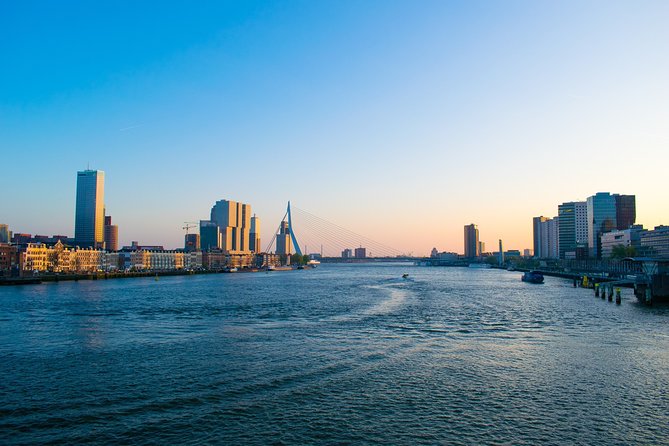 Private Tour: Rotterdam Walking Tour Including Harbor Cruise - Customization Options