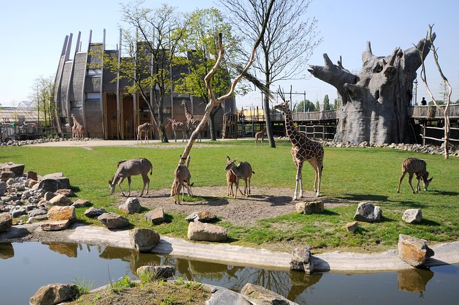 Rotterdam Zoo Diergaarde Blijdorp Direct Entrance Ticket - Just The Basics