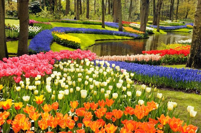 Tulip Experience and Keukenhof Flower Gardens Tour From Amsterdam - Just The Basics