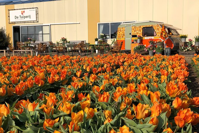 Voorhout Dutch Tulip Farm Guided Visit  - South Holland - Booking and Confirmation Process